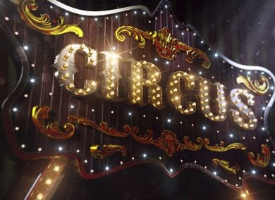 Clandestini in Italia tra tigri e elefanti