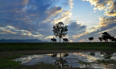 Le foto più belle della settimana – 31 ottobre/6 novembre