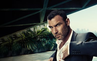 Ray Donovan, la vera sorpresa di Netflix