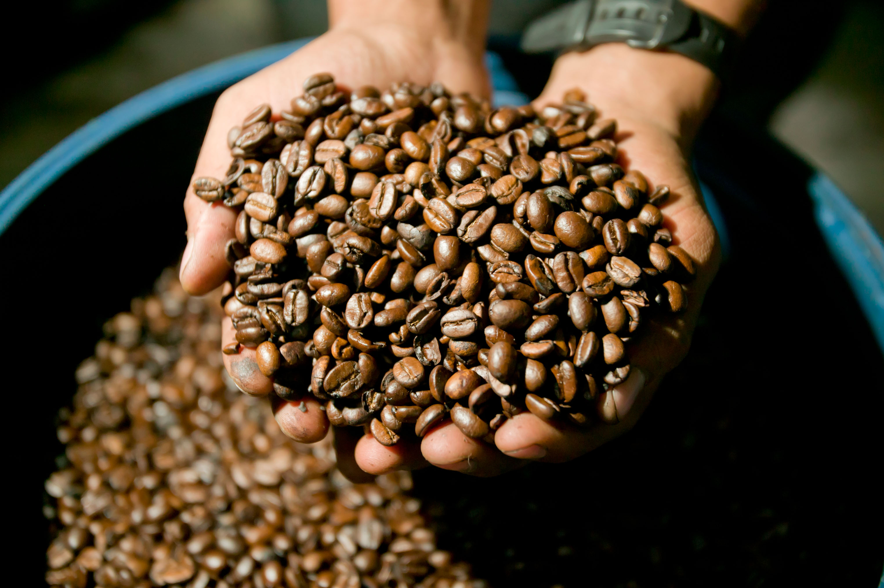 Vuoi essere felice? Vivi in Costa Rica Vuoi essere felice? Vivi in Costa Rica