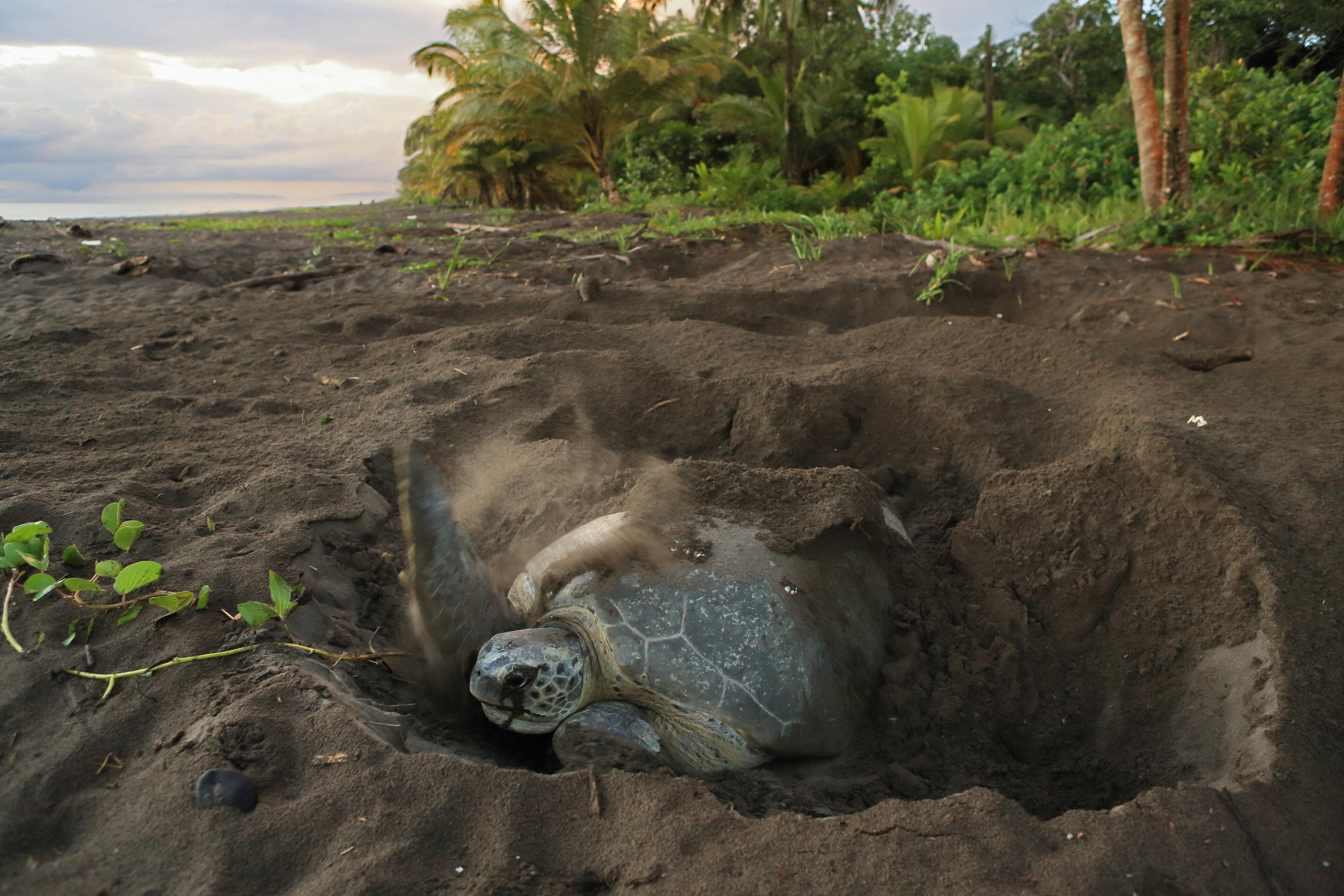 Vuoi essere felice? Vivi in Costa Rica Vuoi essere felice? Vivi in Costa Rica