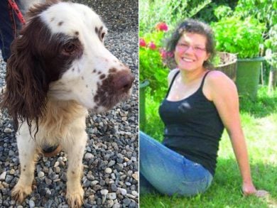 Elena Ceste, ecco perché il marito Michele Buoninconti è stato condannato