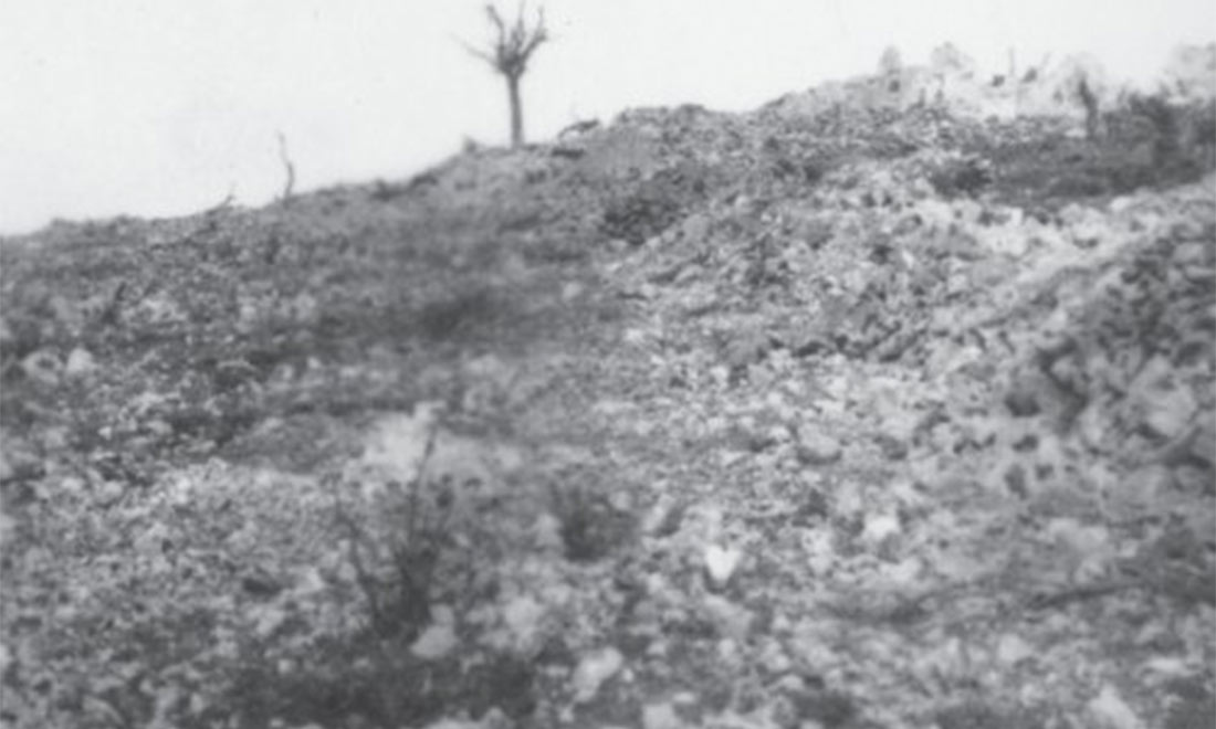 5 libri sull’Italia nella Prima guerra mondiale