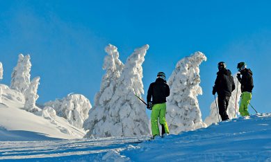 Sci, slittino o passeggiate: rigorosamente in notturna