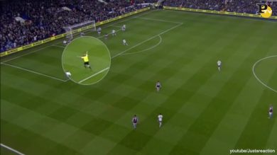 Arbitro esulta al gol del Tottenham