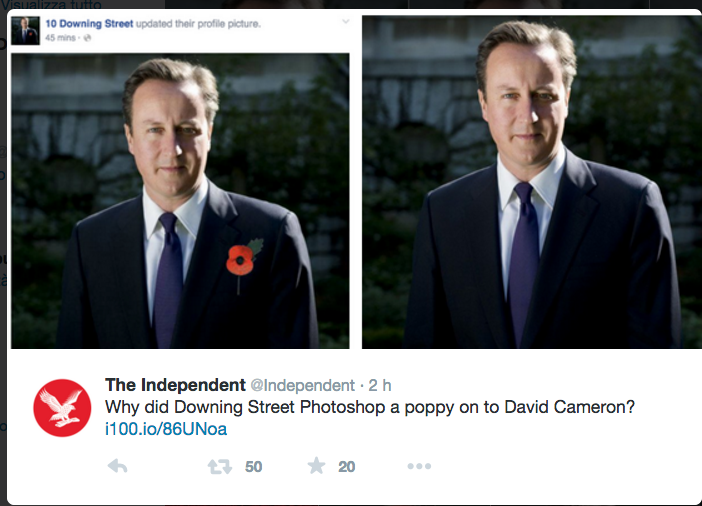 Il papavero ritoccato di Cameron scatena la Rete Il papavero ritoccato di Cameron scatena la Rete