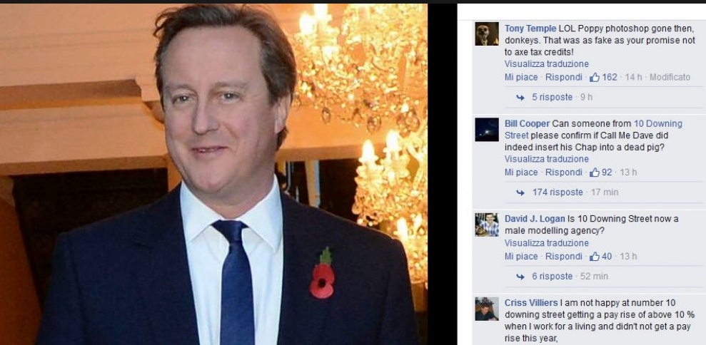 Il papavero ritoccato di Cameron scatena la Rete Il papavero ritoccato di Cameron scatena la Rete