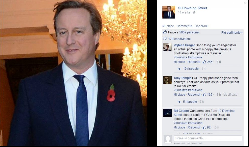 Il papavero ritoccato di Cameron scatena la Rete Il papavero ritoccato di Cameron scatena la Rete