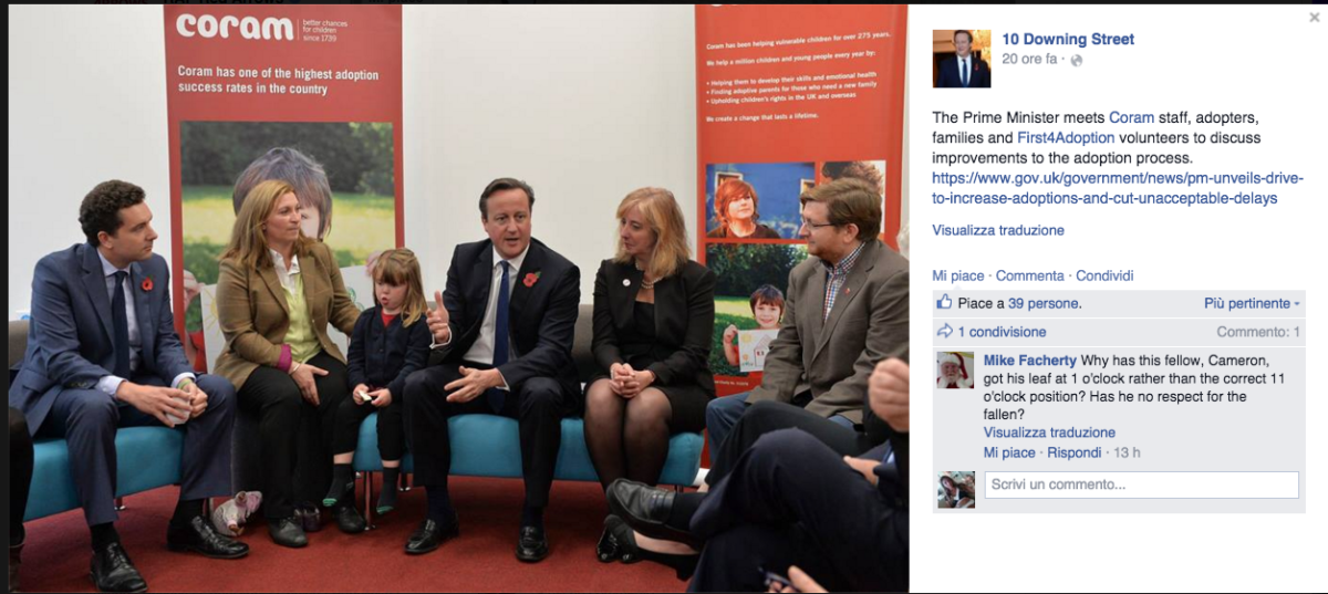 Galleria foto 'Il papavero ritoccato di Cameron scatena la Rete' - foto 10