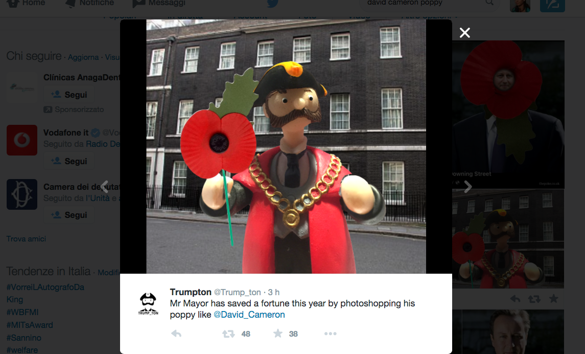 Il papavero ritoccato di Cameron scatena la Rete Il papavero ritoccato di Cameron scatena la Rete