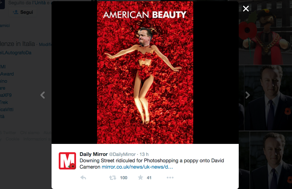 Il papavero ritoccato di Cameron scatena la Rete Il papavero ritoccato di Cameron scatena la Rete