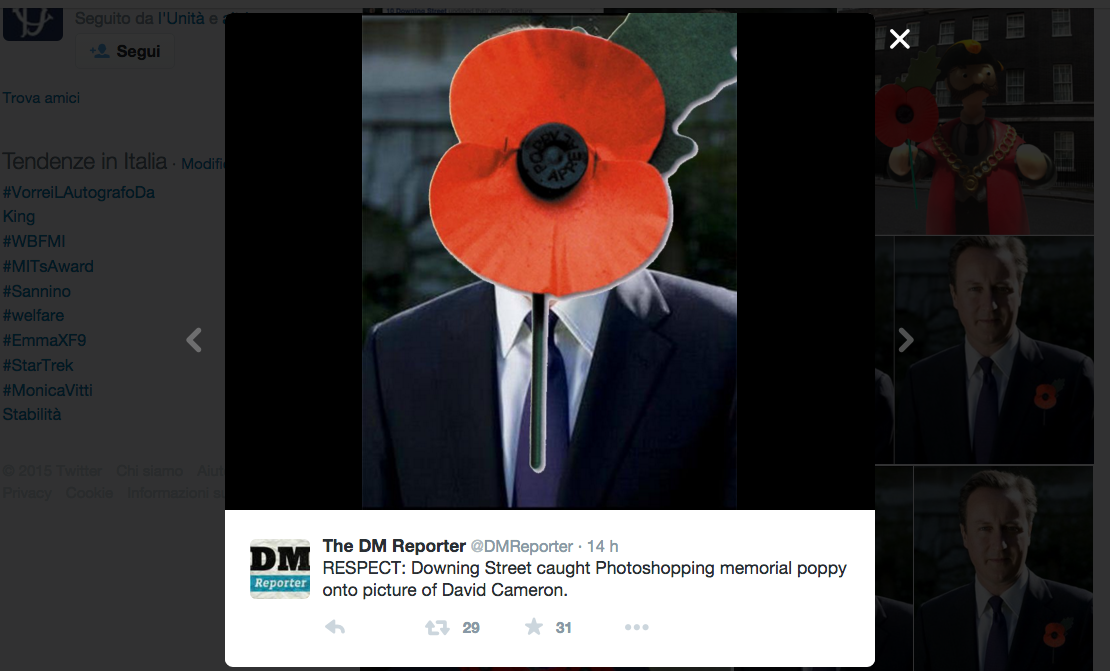 Il papavero ritoccato di Cameron scatena la Rete Il papavero ritoccato di Cameron scatena la Rete