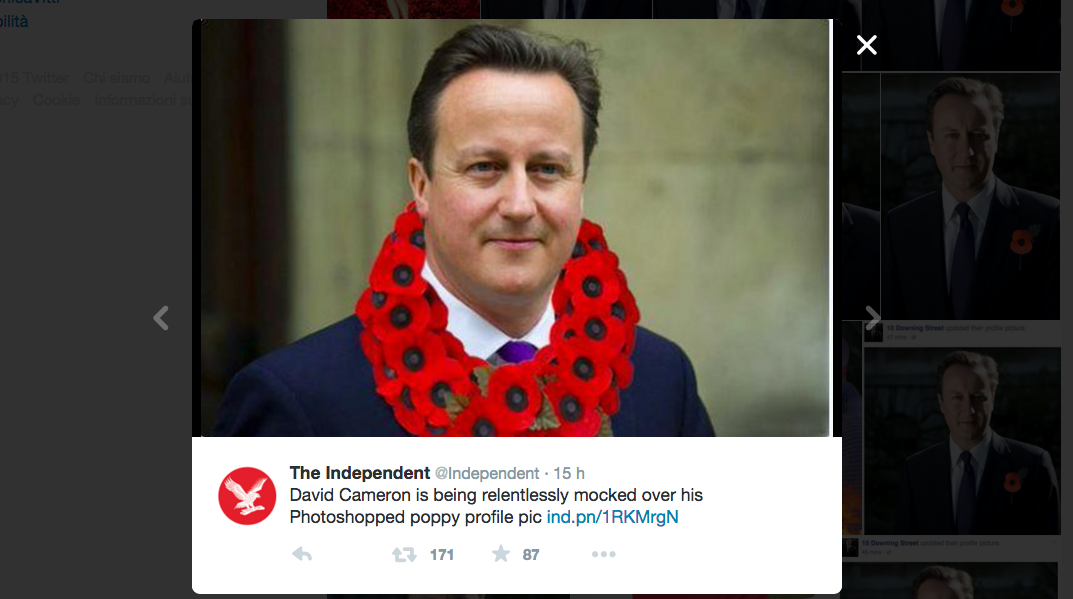 Il papavero ritoccato di Cameron scatena la Rete Il papavero ritoccato di Cameron scatena la Rete