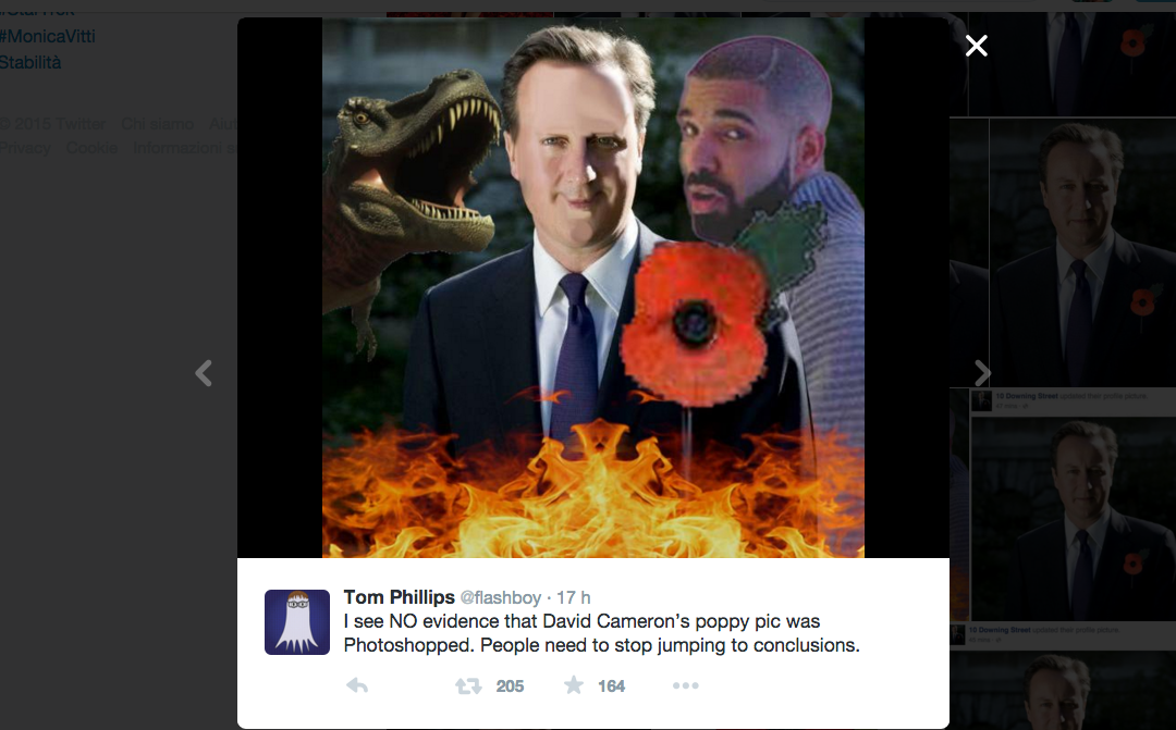 Il papavero ritoccato di Cameron scatena la Rete Il papavero ritoccato di Cameron scatena la Rete