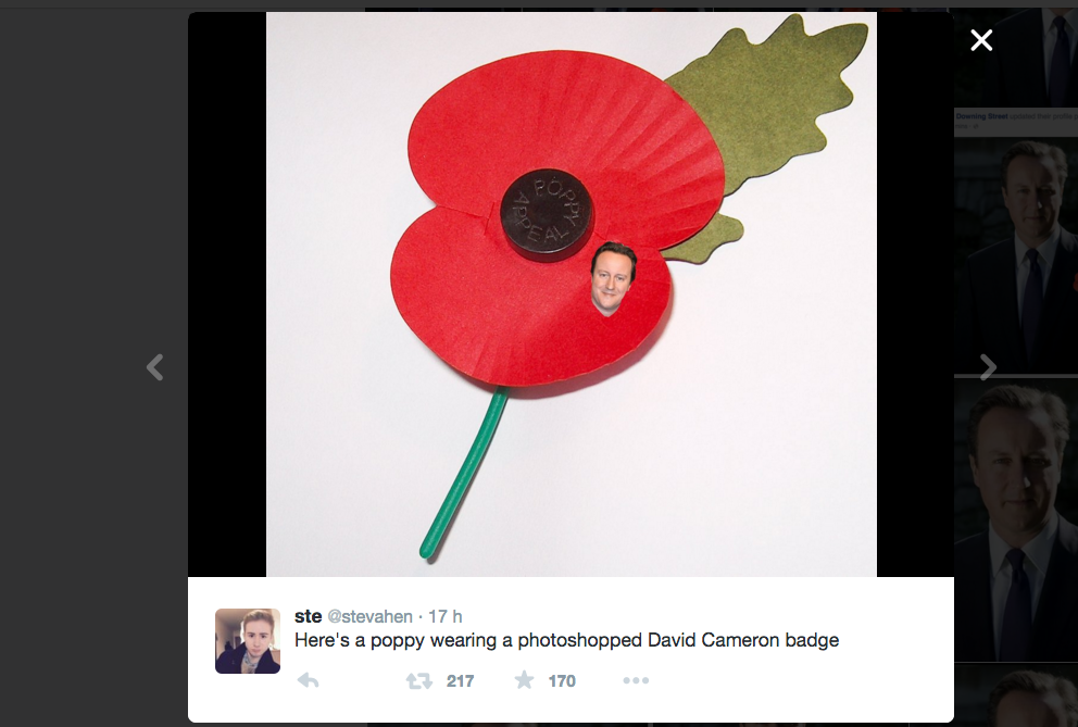 Il papavero ritoccato di Cameron scatena la Rete Il papavero ritoccato di Cameron scatena la Rete