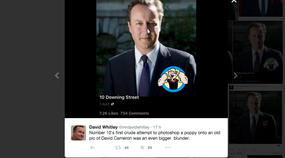 Il papavero ritoccato di Cameron scatena la Rete Il papavero ritoccato di Cameron scatena la Rete