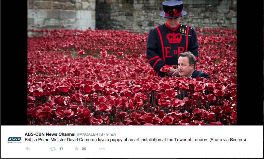 Il papavero ritoccato di Cameron scatena la Rete Il papavero ritoccato di Cameron scatena la Rete