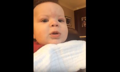 Gara di ululati: bimbo vs. cani