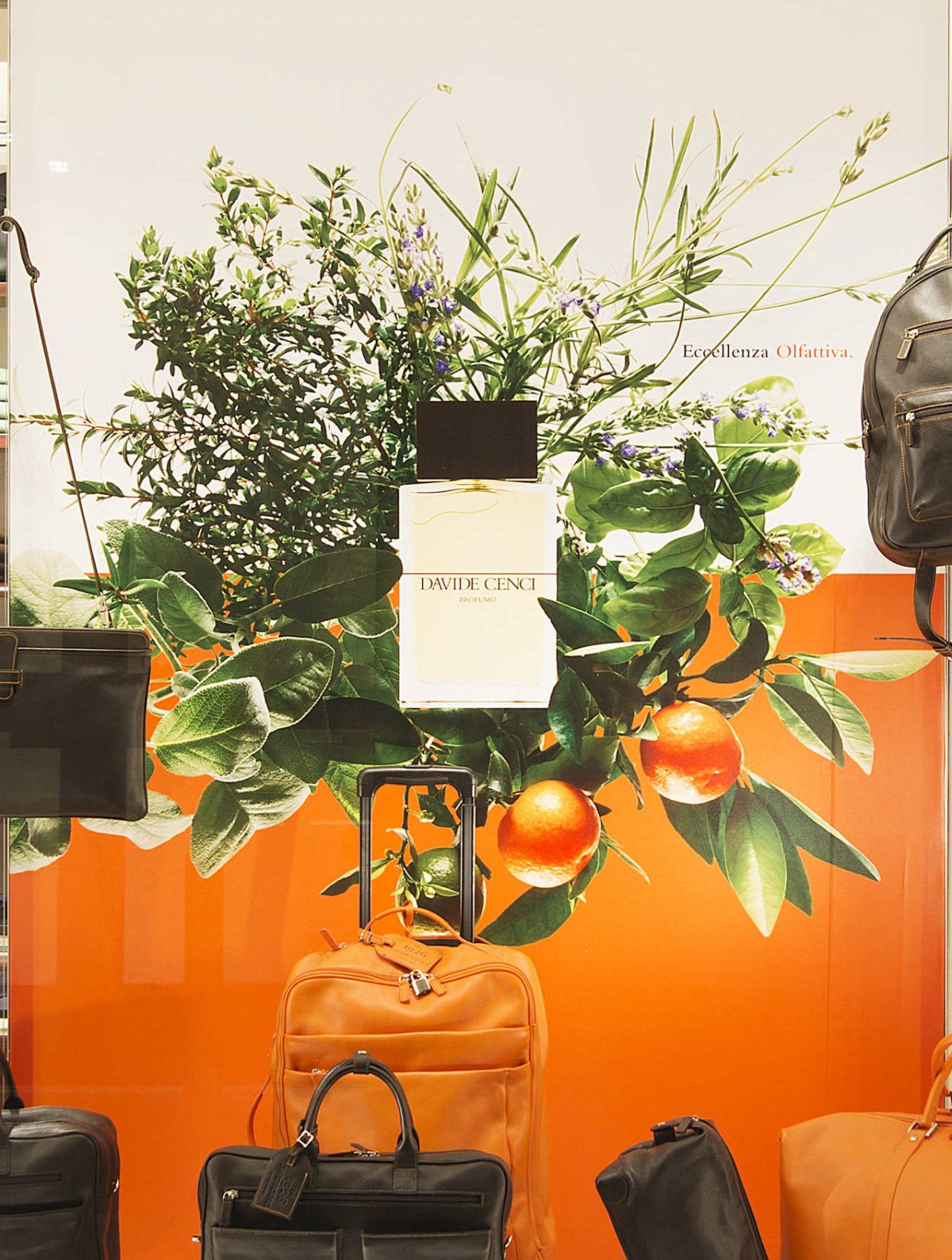 Galleria foto 'Le feste vip della settimana' - foto 7