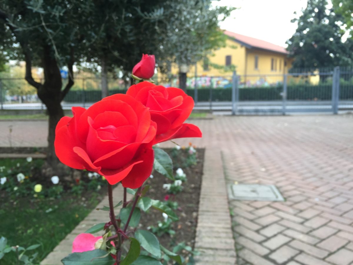 Galleria foto 'iPhone 6S Plus: la recensione' - foto 6