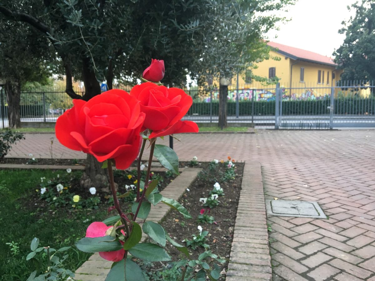 Galleria foto 'iPhone 6S Plus: la recensione' - foto 5