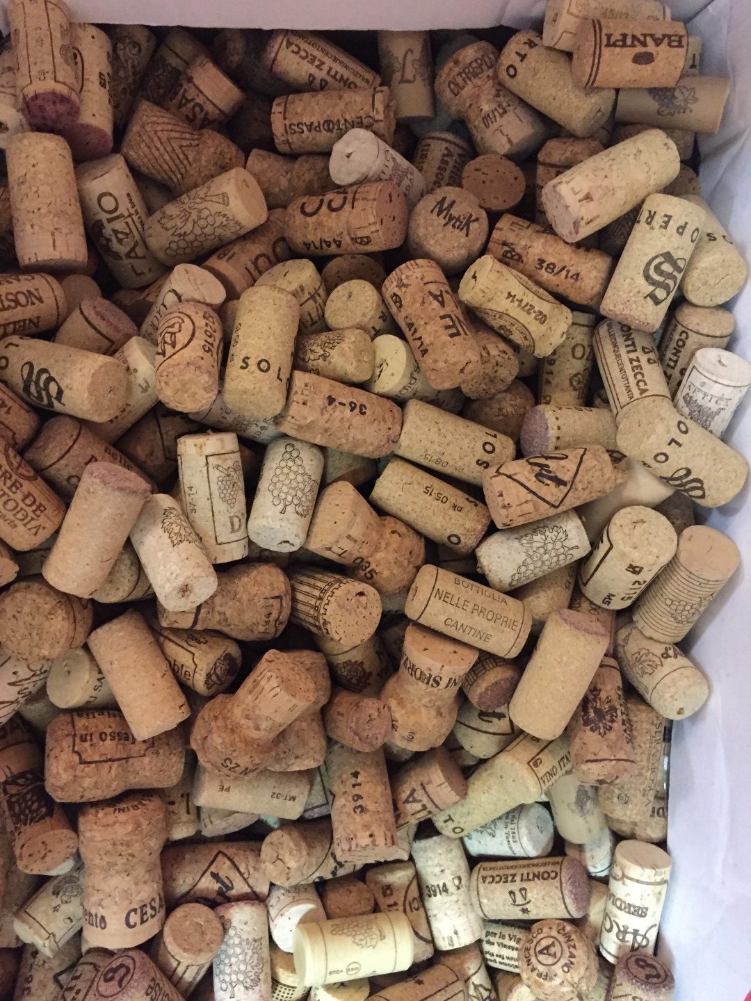 Galleria foto 'iPhone 6S Plus: la recensione' - foto 13