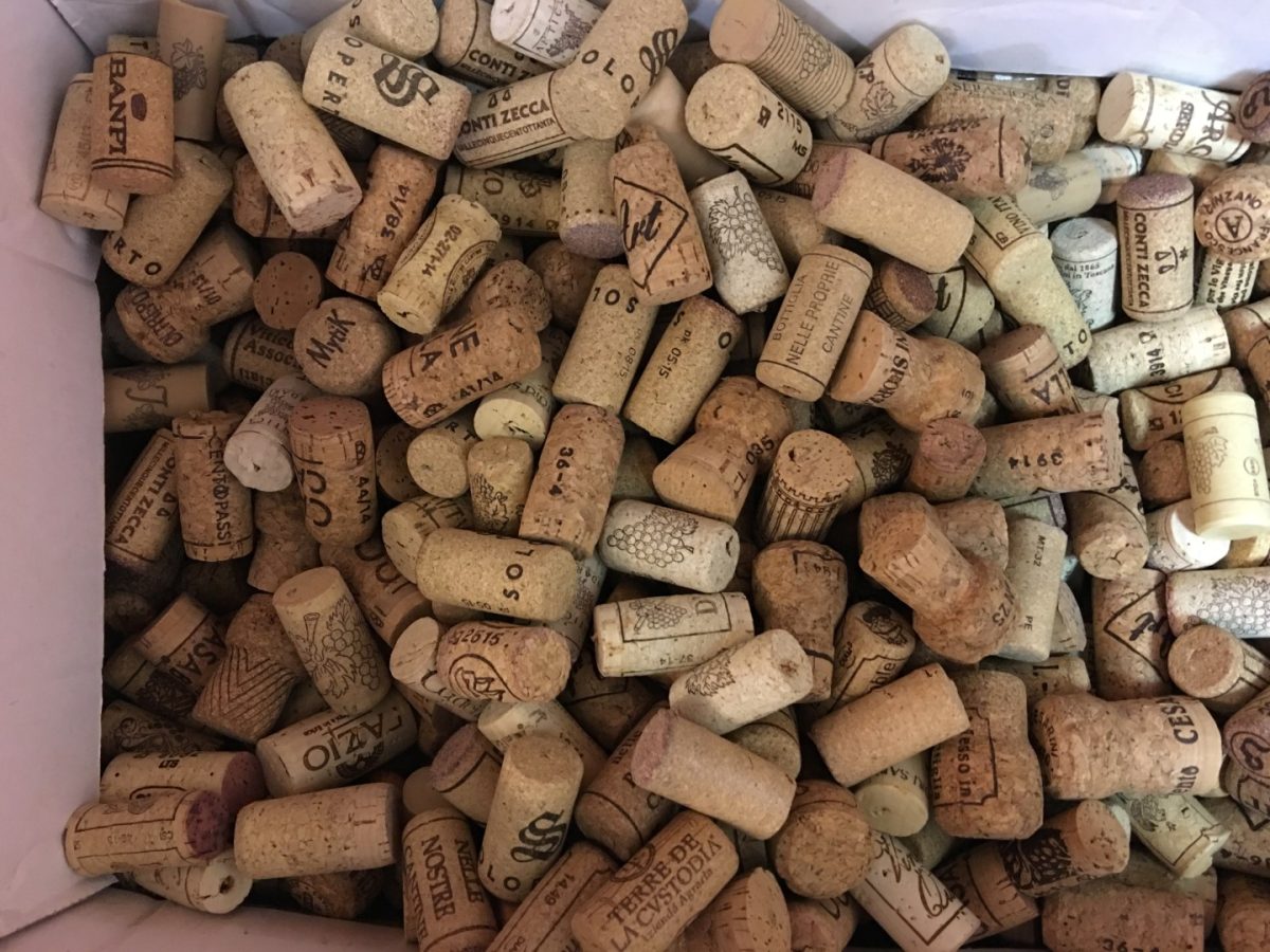 Galleria foto 'iPhone 6S Plus: la recensione' - foto 23