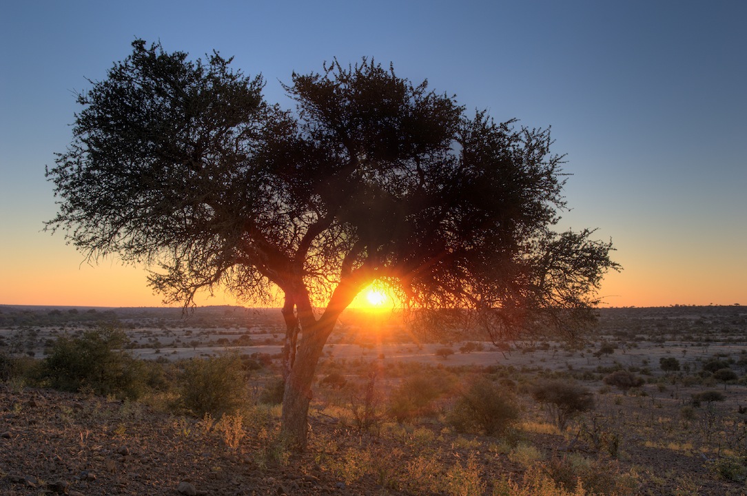 I 12 migliori viaggi per il 2016 I 12 migliori viaggi per il 2016