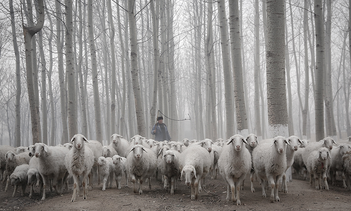 Le foto più belle del 2015 – Vita quotidiana