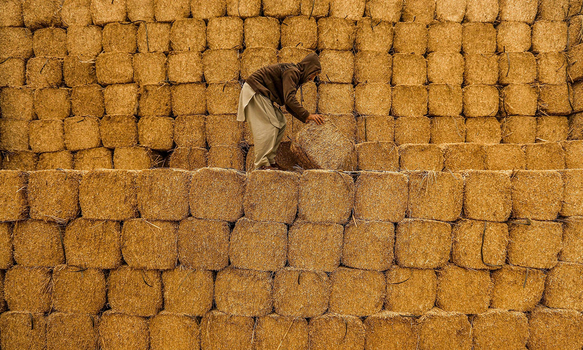 Le foto più belle del 2015 – Vita quotidiana