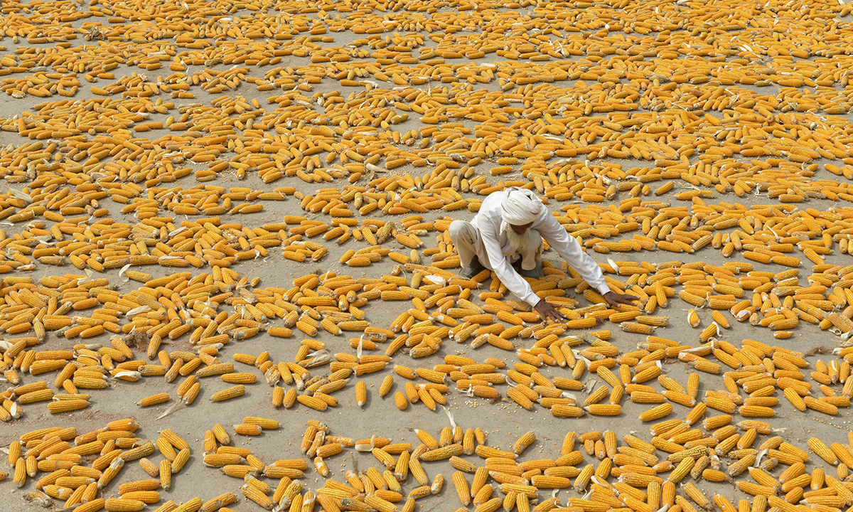 Le foto più belle del 2015 – Vita quotidiana