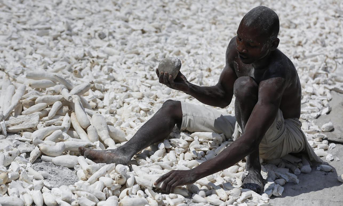 Le foto più belle del 2015 – Vita quotidiana