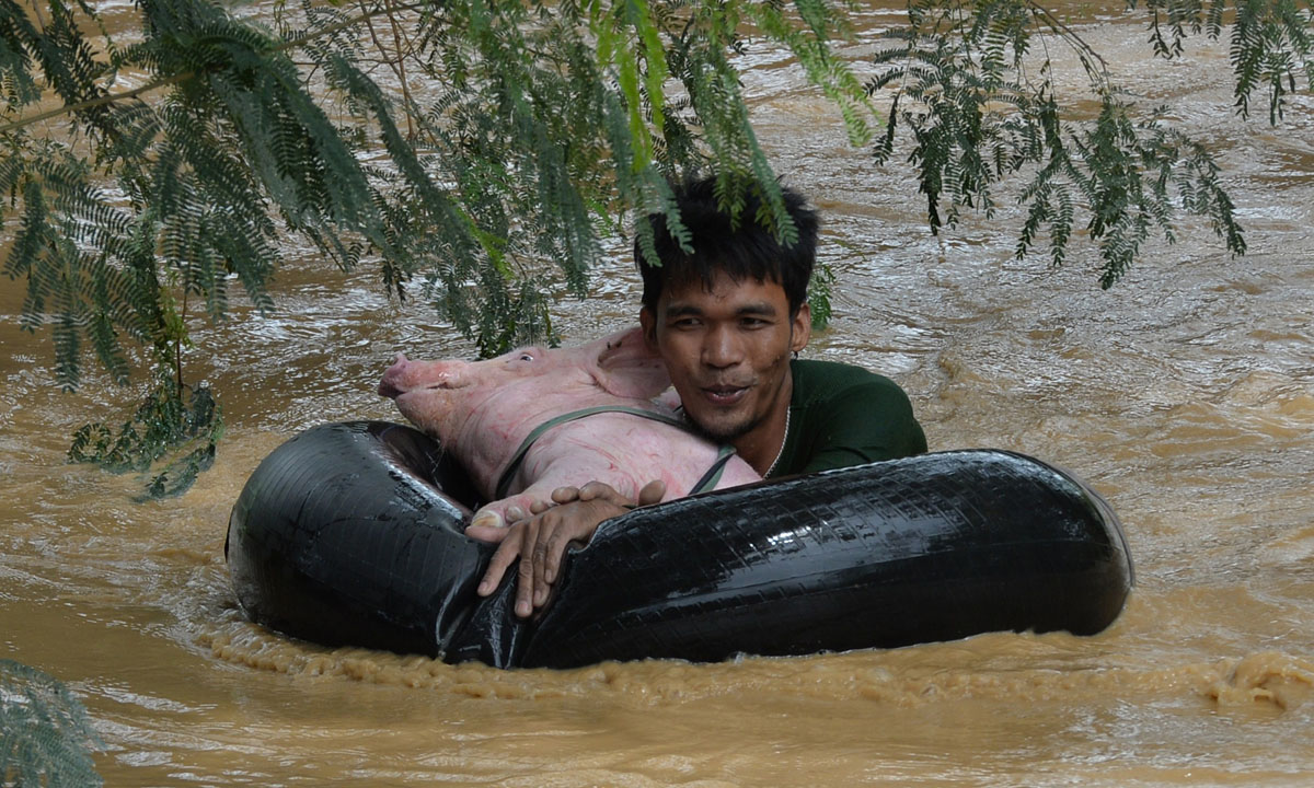 Le foto più belle del 2015 – Vita quotidiana