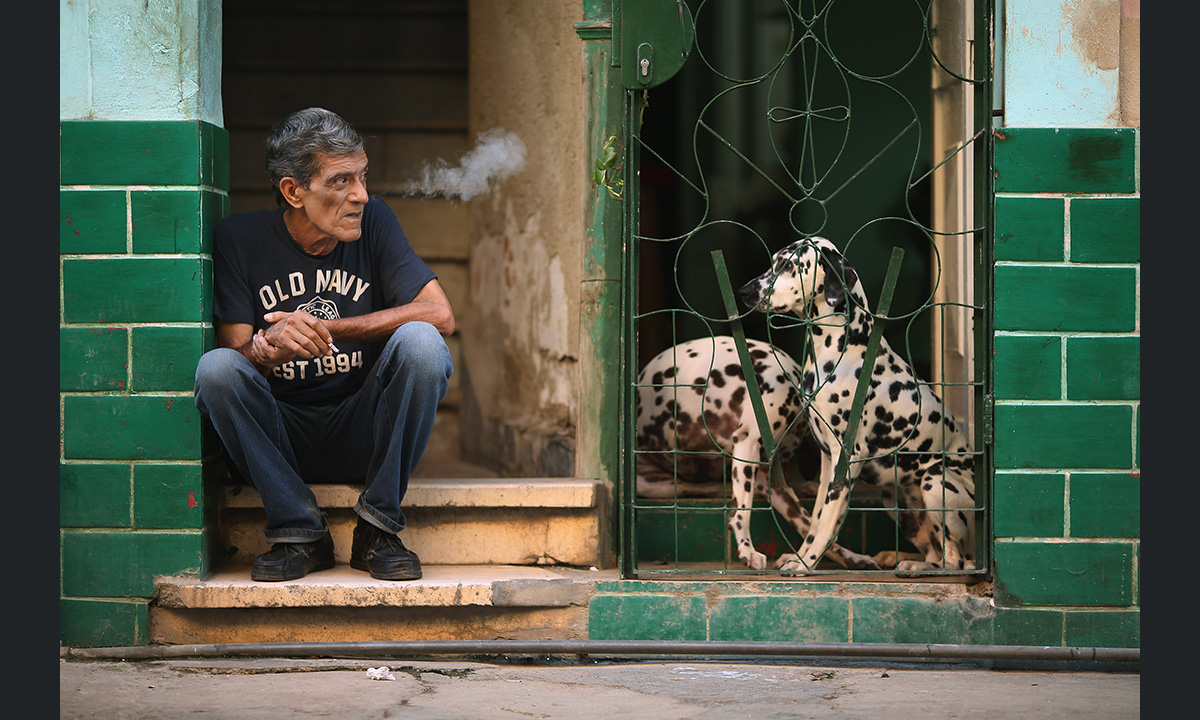 Le foto più belle del 2015 – Vita quotidiana