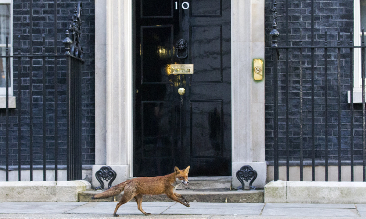 Le foto più belle del 2015 – Vita quotidiana