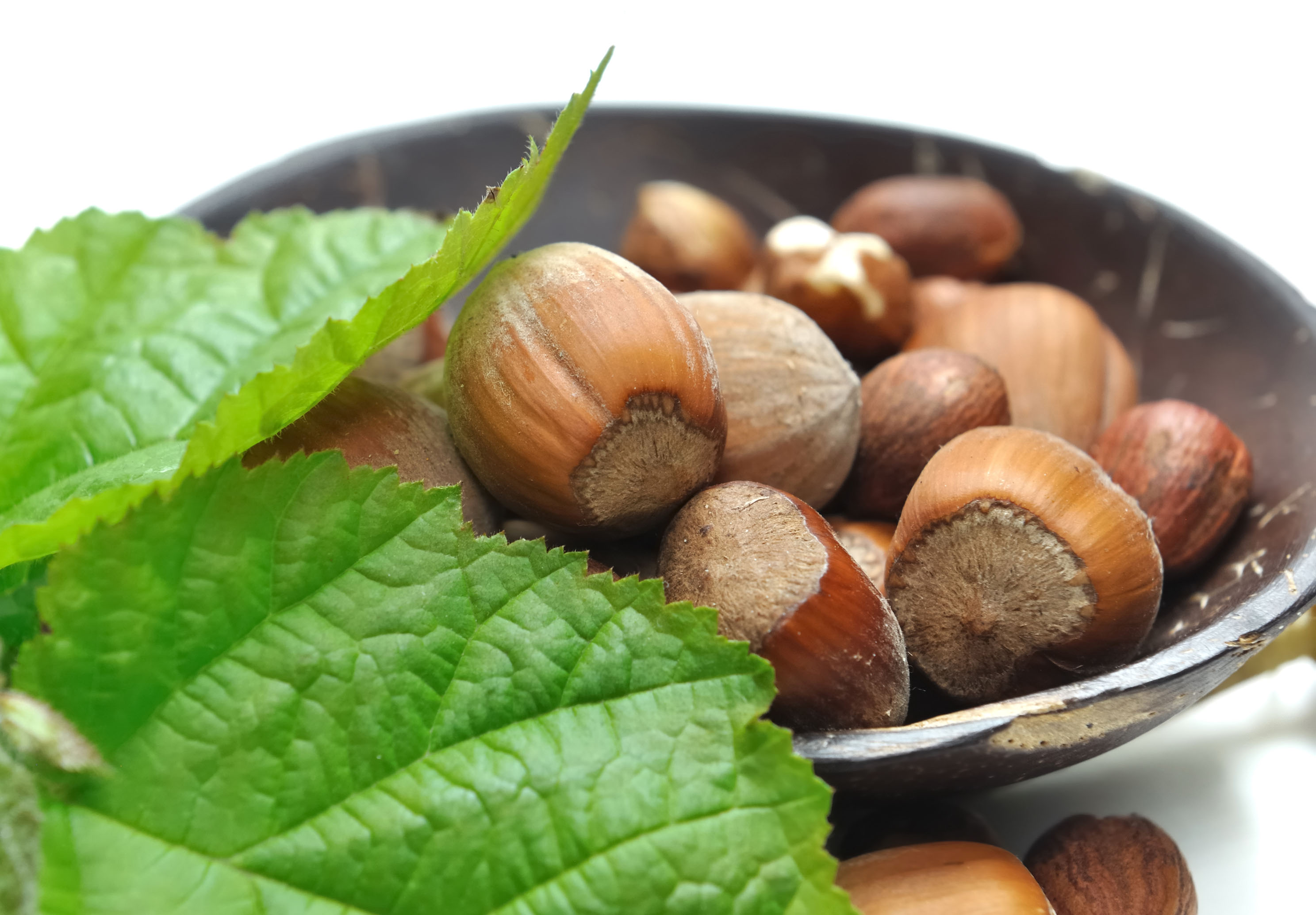 Capodanno, i 10 (+6) riti scaramantici più efficaci