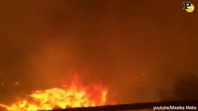 Famiglia olandese negli incendi della California