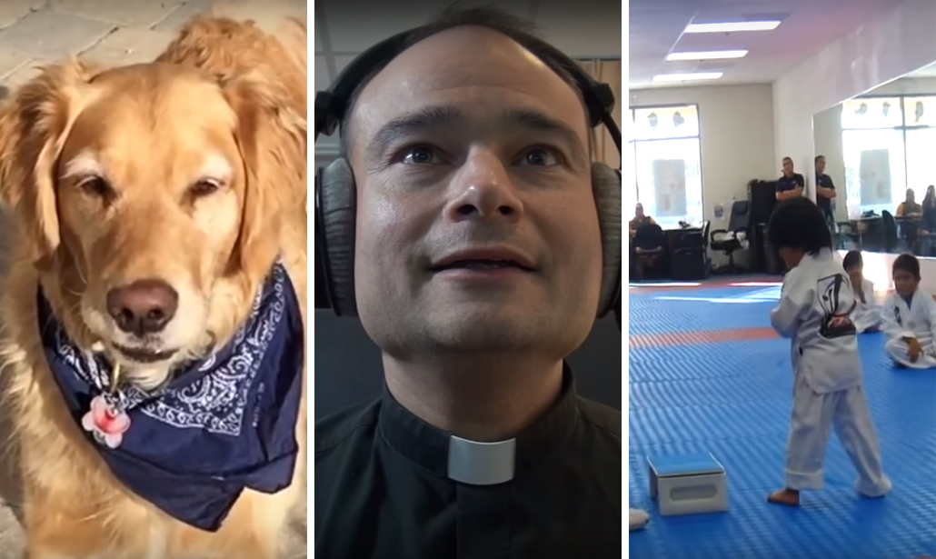 I video virali più divertenti del 2015 I video virali più divertenti del 2015