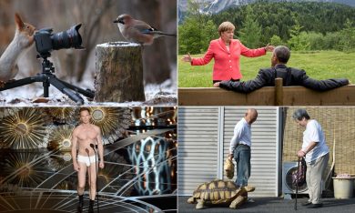 Le foto più divertenti del 2015