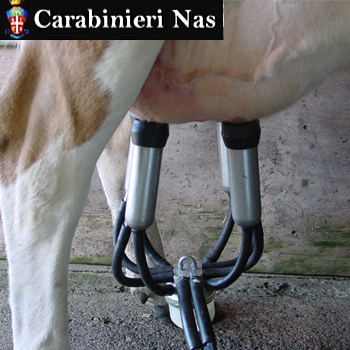 Truffe e sofisticazioni: il 2015 in 10 operazioni del Nas