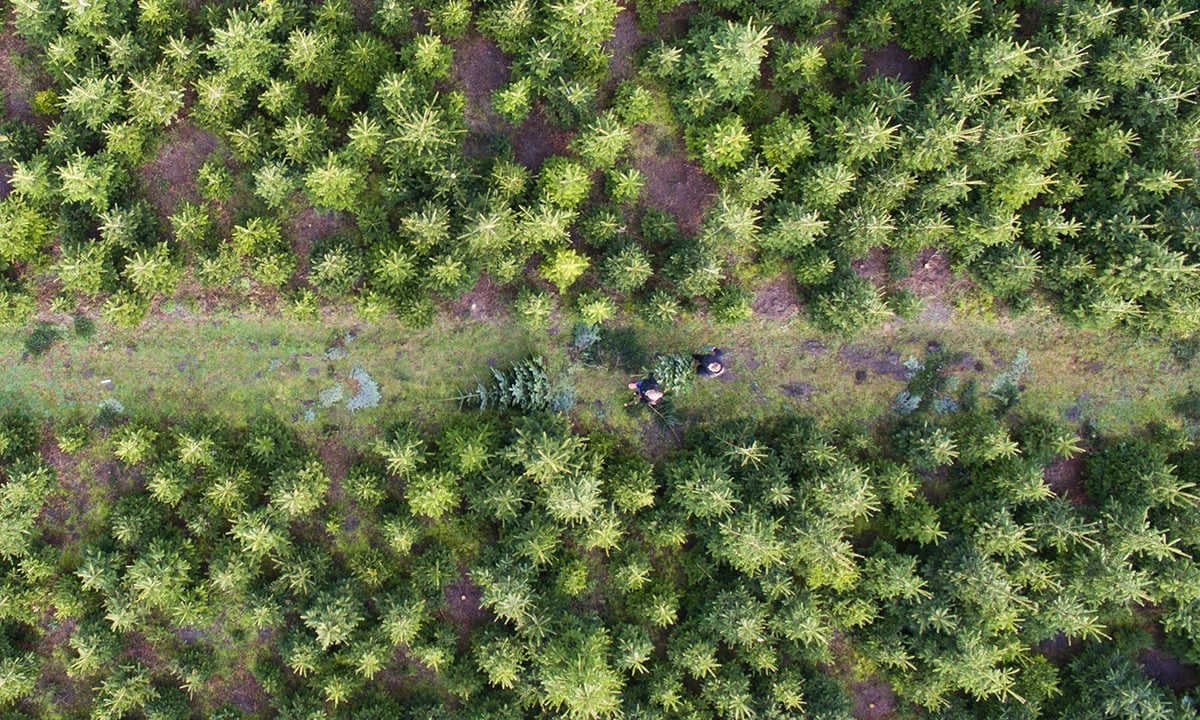 Le foto più belle della settimana – 12/18 dicembre