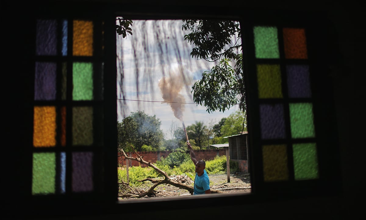 Le foto più belle della settimana – 12/18 dicembre