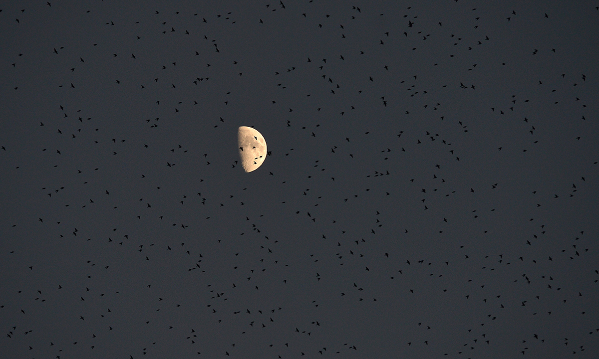 Le foto più belle della settimana – 12/18 dicembre