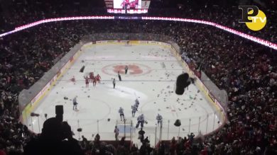 29.000 Orsetti di Peluche invadono il campo da Hockey su Ghiaccio