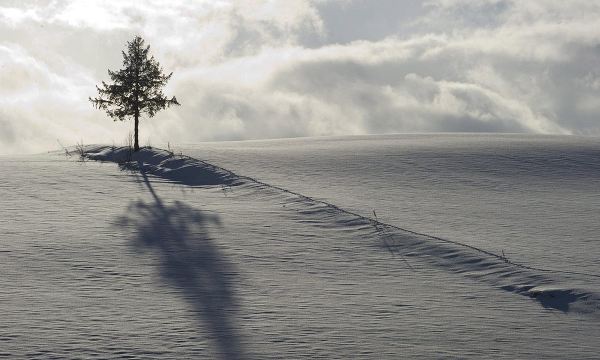 Le foto più belle della settimana – 5/11 dicembre