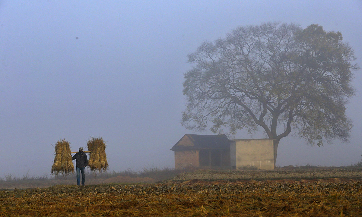 Le foto più belle della settimana – 5/11 dicembre