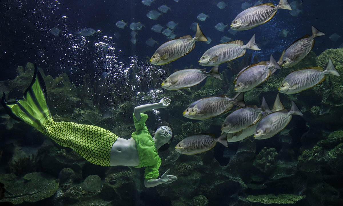 Le foto più belle della settimana – 5/11 dicembre