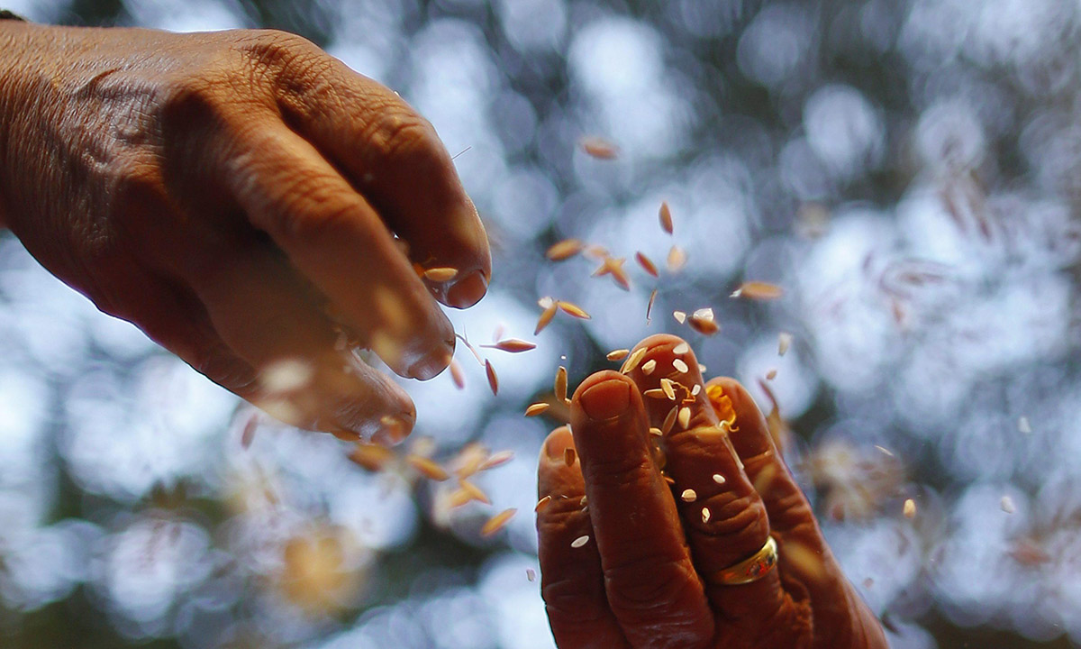 Le foto più belle della settimana – 5/11 dicembre