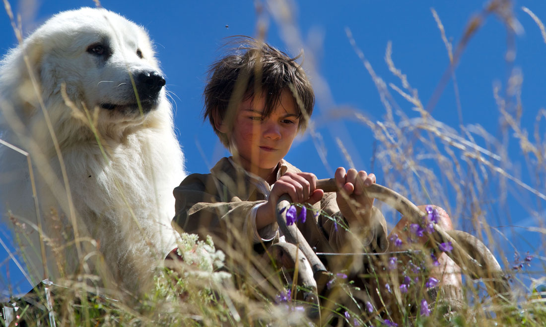 Il professor Cenerentolo e gli altri film in uscita al cinema, 10 dicembre 2015
