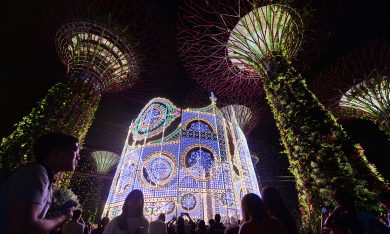 Luci e alberi di Natale nelle foto più belle
